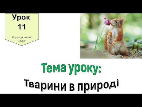 Видео: Тварини в природі. Я досліджую світ 2 клас.