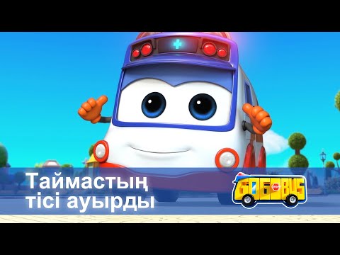 Видео: Қайсар автобус - Бөлім 4.Таймастың тісі ауырды - Мультфильмдер