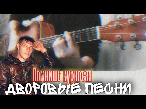 Видео: Помнишь курносая (дворовая песня)