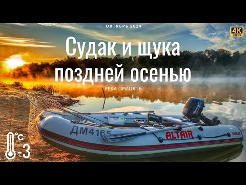 Видео: Судак и щука на реке Припять поздней осенью. 2 дня трудовой рыбалки!