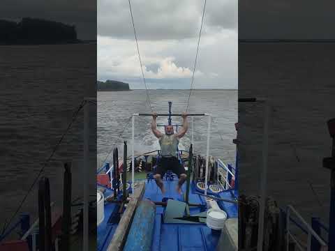 Видео: Мои силовые 