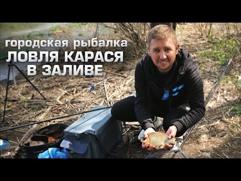 Видео: Городская рыбалка Часть 3: Ловля карася в заливе