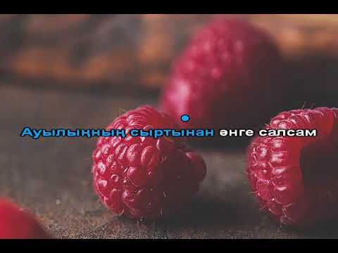 Видео: Көк Өрік караоке минус