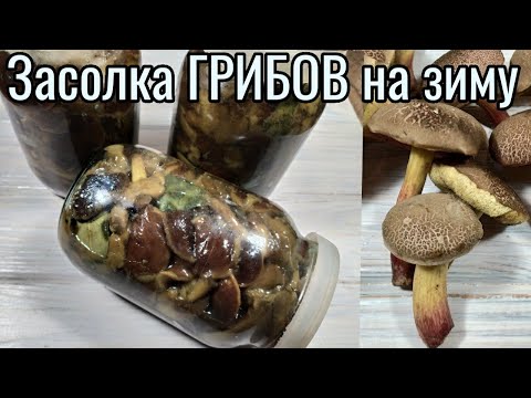 Видео: Засолка ГРИБОВ на зиму простой и проверенный рецепт!