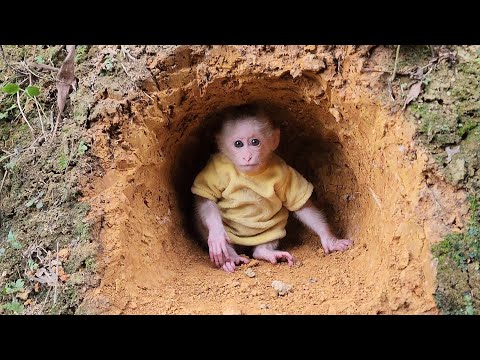 Видео: Бубу наслаждается выбоинами, сделанными под землей