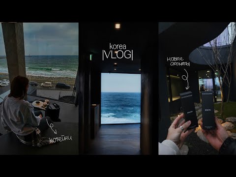 Видео: KOREA VLOG| куда поехать в корее 1ч., мукбанг, стильная кофейня, путешествие #кореявлог #учебавкорее