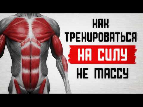 Видео: Как тренировать именно СИЛУ а не массу!