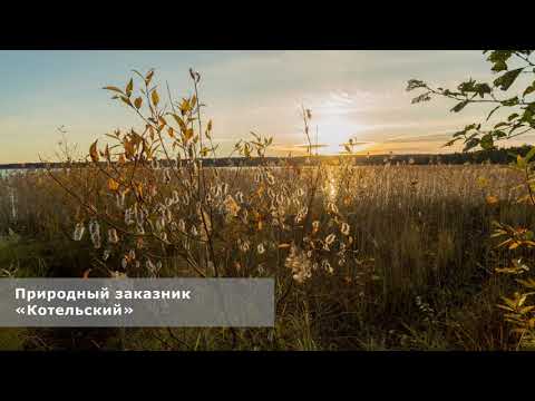 Видео: 06. От щита «Озёра и водотоки» вдоль берега озера Копанское. «Морские растительные сообщества»