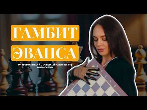 Видео: Гамбит Эванса | Атакующий дебют за белых