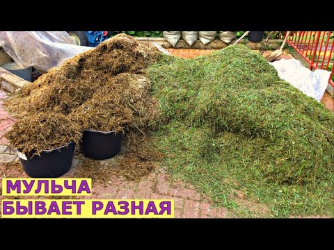 Видео: Где взять мульчу? Куда и как использовать?