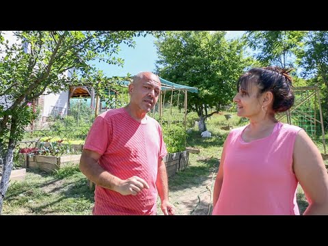 Видео: Приподнятые грядки — потому что они эффективнее традиционных?