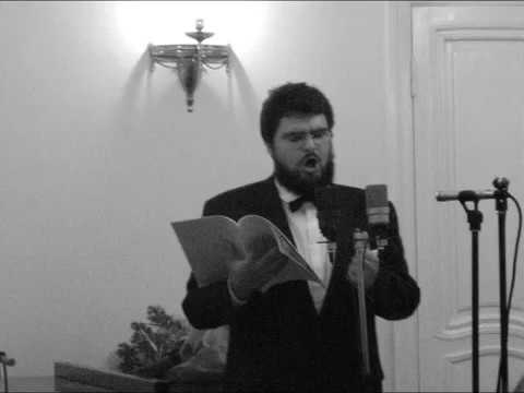 Видео: Дмитрий Степанович - "Никита Рязанский" (переложение БГ)