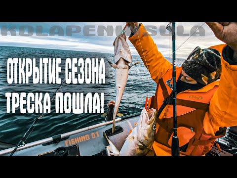 Видео: ТРЕСКА 2021. МОРСКАЯ РЫБАЛКА В БАРЕНЦЕВОМ МОРЕ! ВОТ ЭТО КЛЕВ! КУЧА ТРЕСКИ, СОТНИ ДЕЛЬФИНОВ.