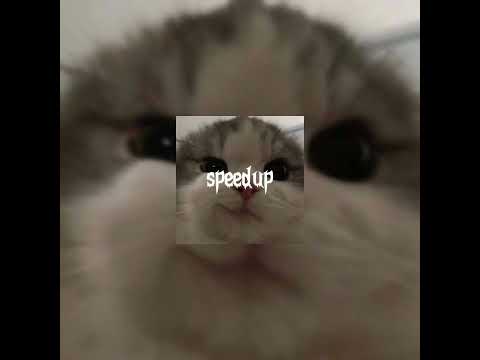 Видео: психушка-Карнавал (speed up)