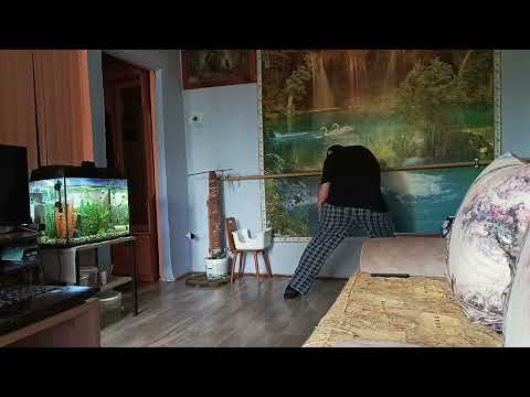 Видео: Жизнь после инсульта. Осваиваю новое упражнение.