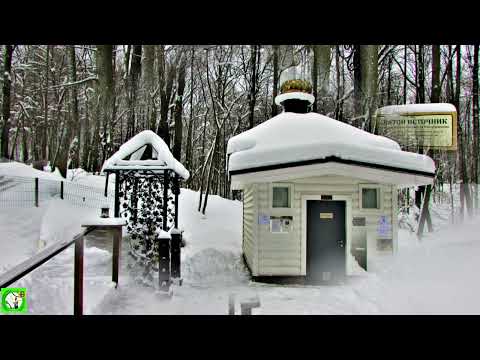 Видео: Святой источник ЕГНЫШЕВКИ