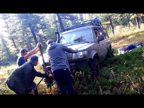 Видео: Галлопер и муссо по тайге хакасии