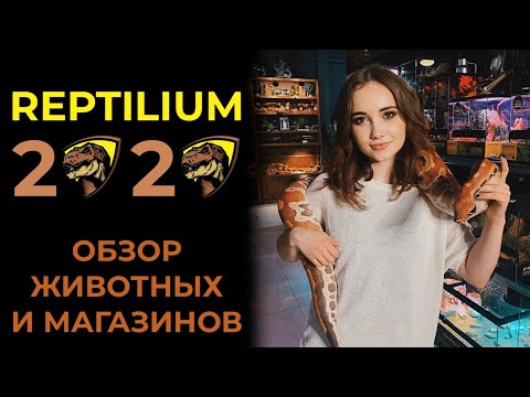 Видео: РЕПТИЛИУМ ОКТЯБРЬ 2020 | ВЛОГ-ОБЗОР НА ЖИВОТНЫХ И МАГАЗИНЫ С ВЫСТАВКИ ЭКЗОТИЧЕСКИХ ЖИВОТНЫХ