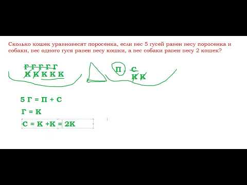 Видео: Как решать задачи типа "Сколько кошек уравновесят одного  поросёнка..."