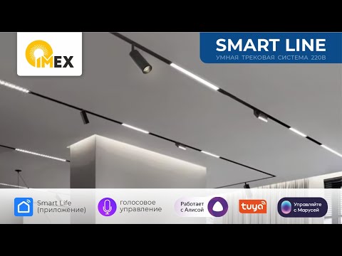 Видео: SMART LINE - умная трековая система 220В.