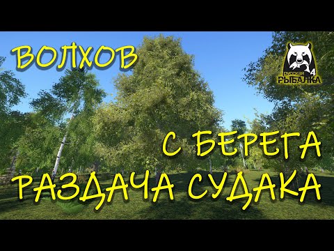 Видео: Русская рыбалка 4 рр4 Волхов Поиск и раздача судака