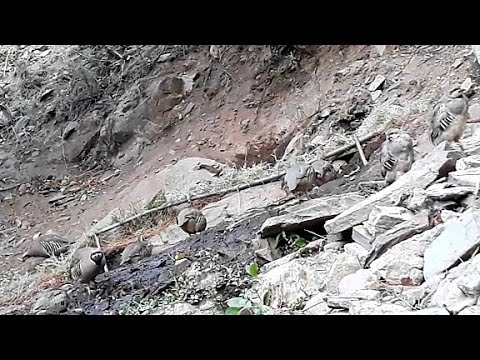 Видео: 16 СЕНТЯБР 2025 ШЕРОИ НАР БА ХОТИРИ ШУМО👍👍👍👍💥💥💥💥💥💥