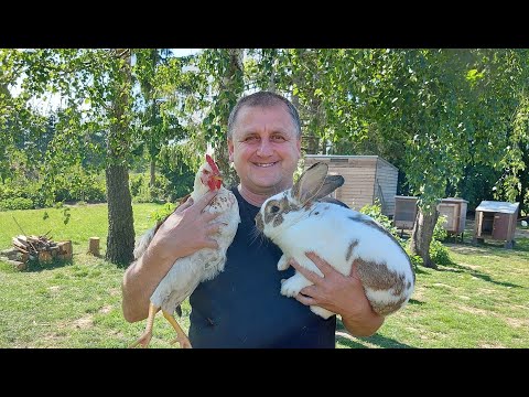 Видео: ПЕРЕНОС КРОЛЬЧАТНИКА В ТЕНЬ 🐇ОТСАТКА КРОЛЬЧАТ🐇🐰КРОЛИКИ🐰ДЕРЕВНЯ⛪ГЕРМАНИЯ