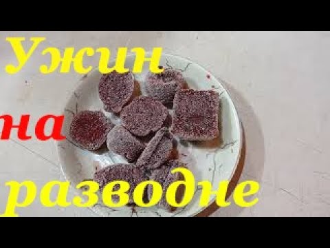 Видео: Кормление рыбок дафнией и замороженным кормом