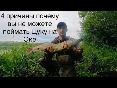 Видео: РЫБАЛКА на ОКЕ на ЩУКУ, ЗЛЫЕ ПОКЛЕВКИ !