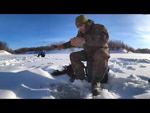 Видео: Сидим на лунках, ловим рыбу одну за одной. Рыбалка в Коми на блесну.