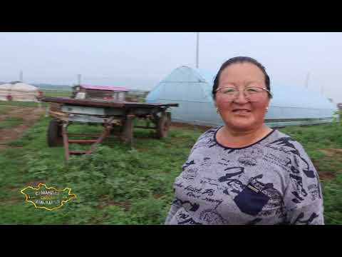 Видео: Сумандаа сайхан амьдаръя-Сэлэнгэ аймгийн Ерөө сум 199 \ 2021 он \