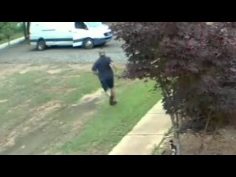 Видео: (ДЕБИЛОВ ТВ 2) КОТЁНОК ДУМАЕТ ЭТО ПАПА!