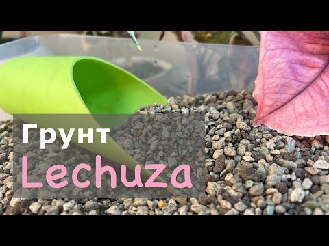 Видео: №110.Грунт Lechuza (Лечуза). Варианты использования, как удобрять и как пересадить из другого грунта