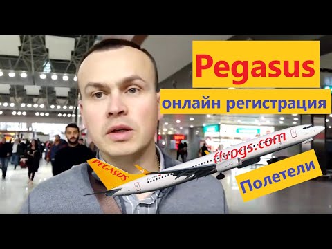 Видео: Регистрация билетов онлайн Pegasus