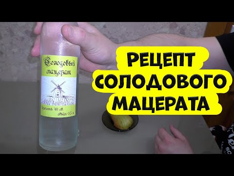 Видео: Рецепт солодового мацерата на аппарате (Люксталь 7М)