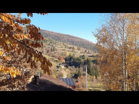 Видео: Отдых в Яремче осенью! Часть 1. Жилье