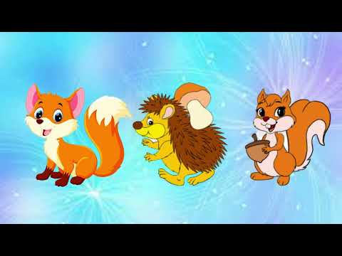 Видео: Математика "Лісові пригоди"