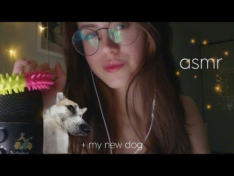 Видео: Быстрый, комфорт асмр // Звуки р:та и рук, скрэтчинг, микро и др 🫶🏻