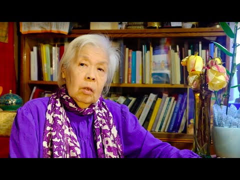 Видео: Разговор с Виленой Санджеевной Дылыковой-Парфионович (часть 2)