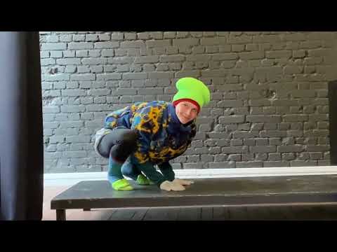 Видео: Наблюдения за животными. Этюды