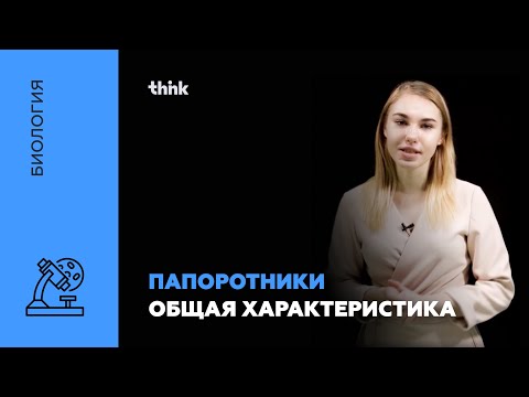 Видео: Папоротники. Общая характеристика | Биология