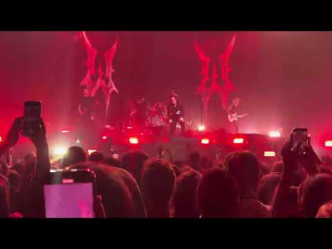 Видео: Wildways - прятки