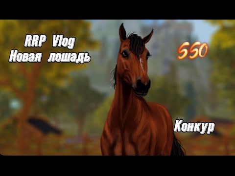 Видео: RRP Vlog|Star Stable|Новая лошадь?|Конкурная тренировка|