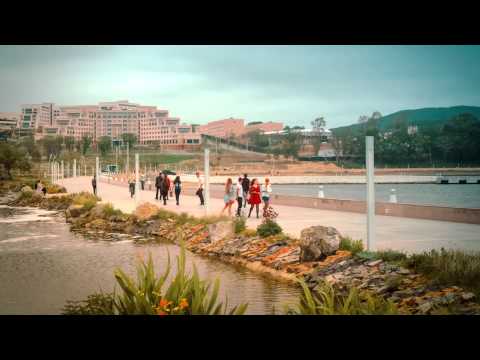 Видео: ДВФУ о. Русский