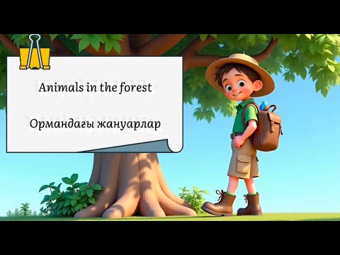 Видео: Ормандағы жануарлар - Anymals in the forest