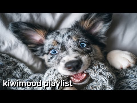 Видео: [playlist🎧] Я отвечаю за твой ритм✨ Плейлист для хорошего настроения