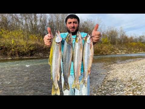 Видео: Очень Вкусный Шашлык из Атлантического Гольца на мангале! Лучший рецепт