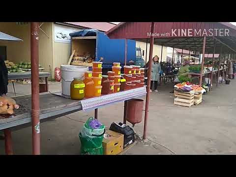 Видео: Беково 04.09.2022г. Центральная часть посёлка и рыночная площадь ранним утром в "базарный" день.