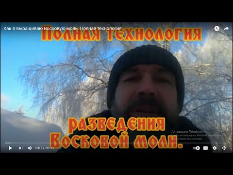 Видео: Как я выращиваю Восковую моль. Полная технология.