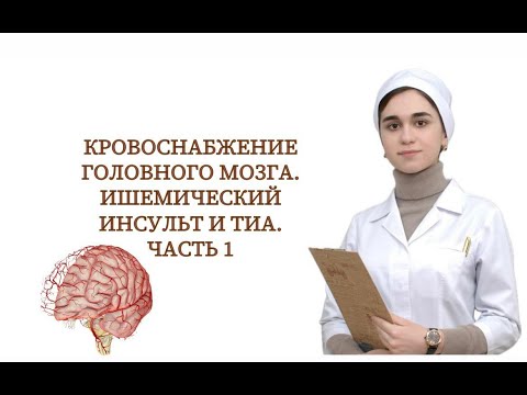 Видео: Кровоснабжение головного мозга. Ишемический инсульт и ТИА. Часть 1.